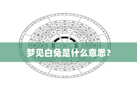 梦见白兔是什么意思?