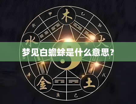 梦见白蟾蜍是什么意思?