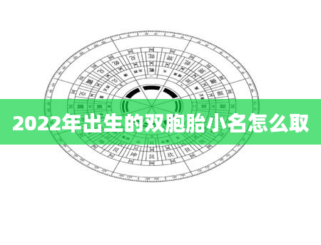 2022年出生的双胞胎小名怎么取