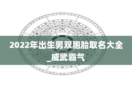 2022年出生男双胞胎取名大全_威武霸气