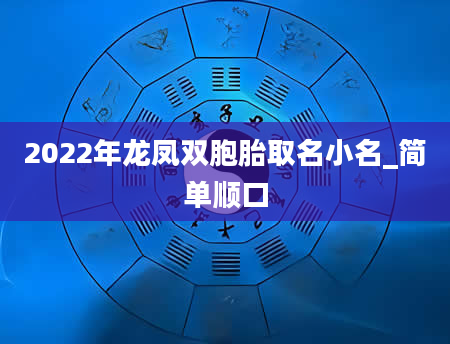 2022年龙凤双胞胎取名小名_简单顺口