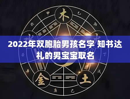 2022年双胞胎男孩名字 知书达礼的男宝宝取名