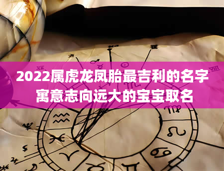 2022属虎龙凤胎最吉利的名字 寓意志向远大的宝宝取名