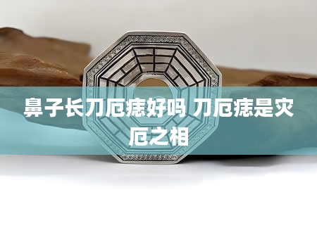 鼻子长刀厄痣好吗 刀厄痣是灾厄之相