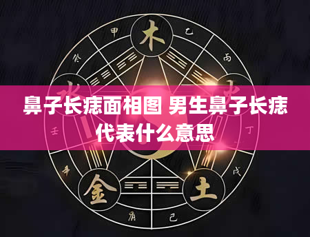 鼻子长痣面相图 男生鼻子长痣代表什么意思