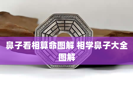 鼻子看相算命图解 相学鼻子大全图解