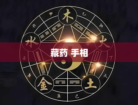 藏药 手相
