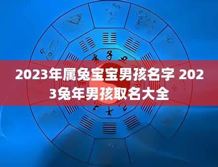 2023年属兔宝宝男孩名字 2023兔年男孩取名大全