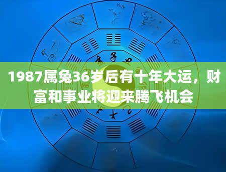 1987属兔36岁后有十年大运,财富和事业将迎来腾飞机会