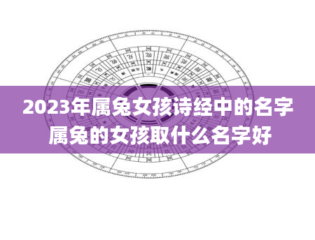 2023年属兔女孩诗经中的名字 属兔的女孩取什么名字好