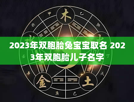 2023年双胞胎兔宝宝取名 2023年双胞胎儿子名字