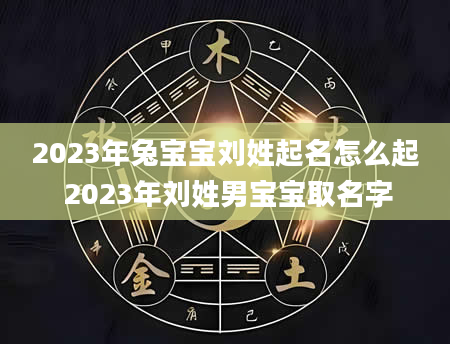 2023年兔宝宝刘姓起名怎么起 2023年刘姓男宝宝取名字