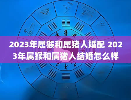 2023年属猴和属猪人婚配 2023年属猴和属猪人结婚怎么样