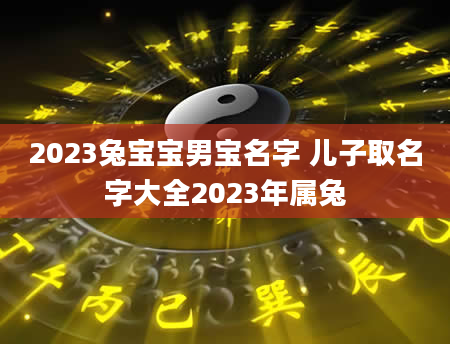 2023兔宝宝男宝名字 儿子取名字大全2023年属兔