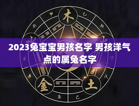 2023兔宝宝男孩名字 男孩洋气点的属兔名字