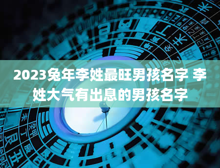 2023兔年李姓最旺男孩名字 李姓大气有出息的男孩名字