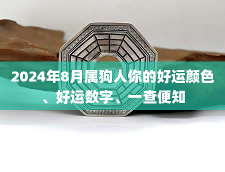 2024年8月属狗人你的好运颜色、好运数字、一查便知