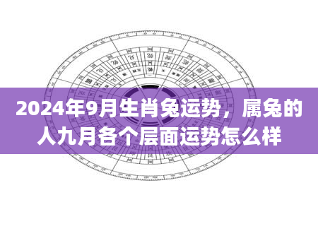 2024年9月生肖兔运势,属兔的人九月各个层面运势怎么样