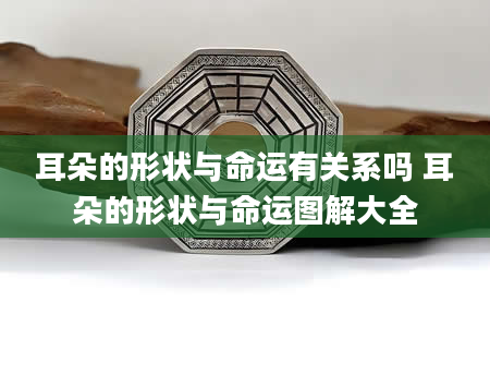 耳朵的形状与命运有关系吗 耳朵的形状与命运图解大全