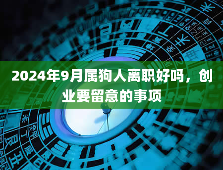 2024年9月属狗人离职好吗,创业要留意的事项
