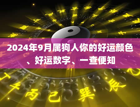 2024年9月属狗人你的好运颜色、好运数字、一查便知