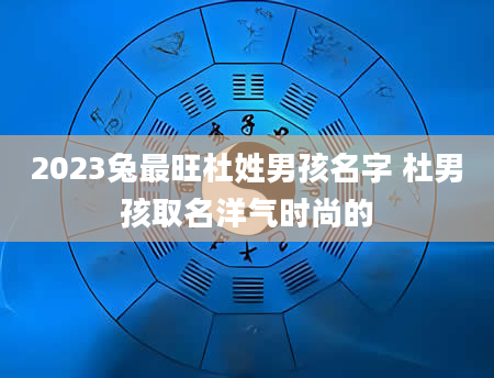 2023兔最旺杜姓男孩名字 杜男孩取名洋气时尚的