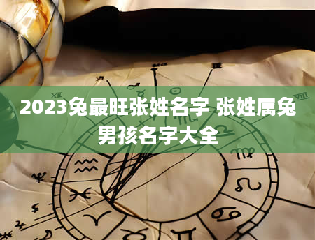 2023兔最旺张姓名字 张姓属兔男孩名字大全