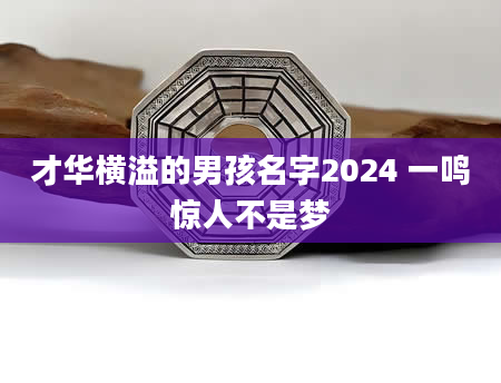 才华横溢的男孩名字2024 一鸣惊人不是梦