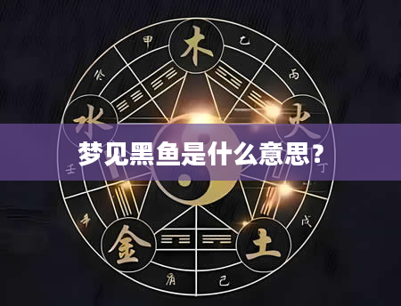 梦见黑鱼是什么意思?