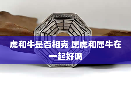 虎和牛是否相克 属虎和属牛在一起好吗