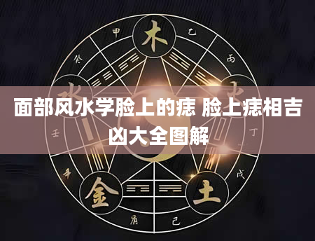面部风水学脸上的痣 脸上痣相吉凶大全图解