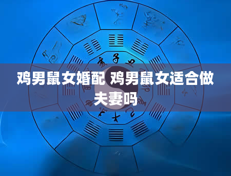 鸡男鼠女婚配 鸡男鼠女适合做夫妻吗