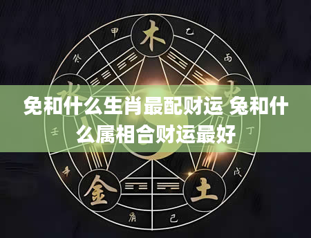 免和什么生肖最配财运 兔和什么属相合财运最好