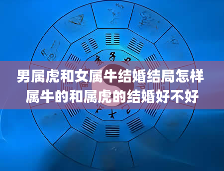 男属虎和女属牛结婚结局怎样 属牛的和属虎的结婚好不好