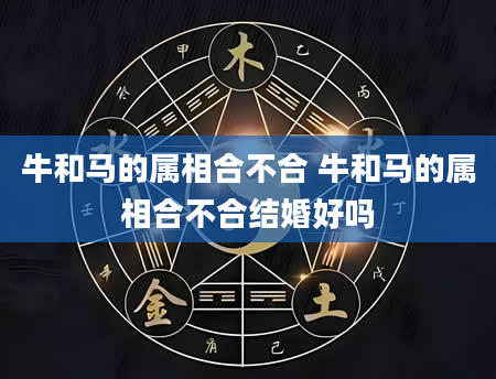 牛和马的属相合不合 牛和马的属相合不合结婚好吗