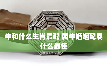 牛和什么生肖最配 属牛婚姻配属什么最佳