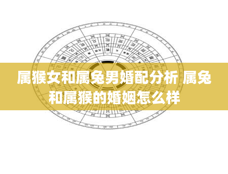 属猴女和属兔男婚配分析 属兔和属猴的婚姻怎么样