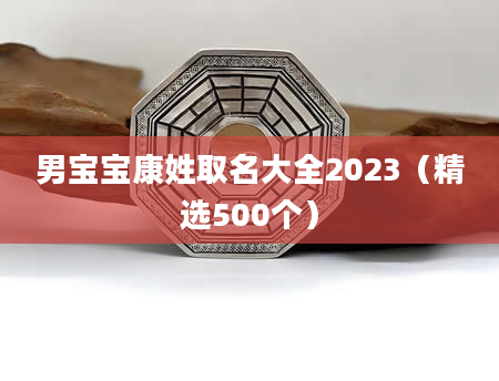 男宝宝康姓取名大全2023(精选500个)