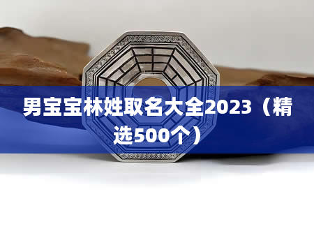 男宝宝林姓取名大全2023(精选500个)