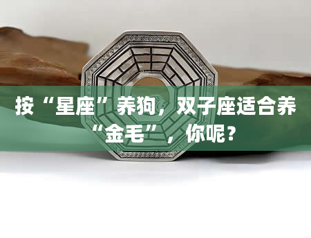 按“星座”养狗,双子座适合养“金毛”,你呢?