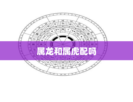 属龙和属虎配吗