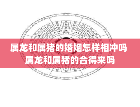 属龙和属猪的婚姻怎样相冲吗 属龙和属猪的合得来吗