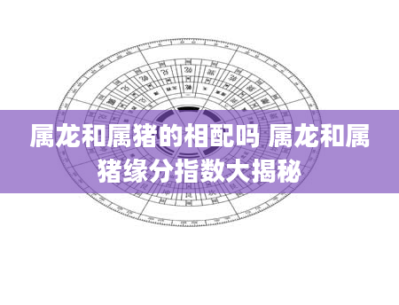 属龙和属猪的相配吗 属龙和属猪缘分指数大揭秘