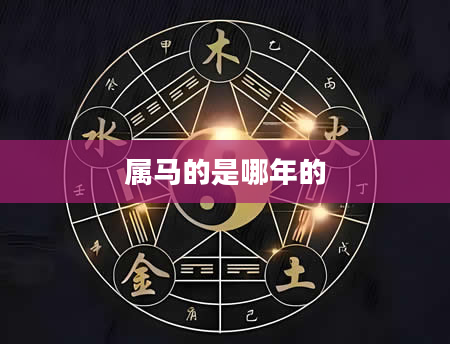 属马的是哪年的
