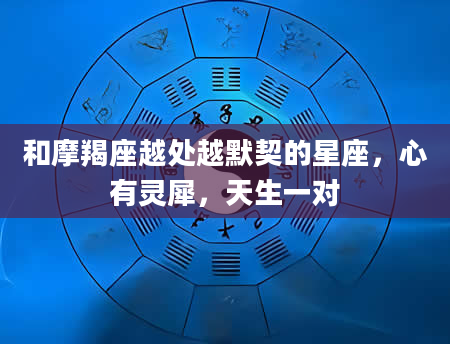 和摩羯座越处越默契的星座,心有灵犀,天生一对