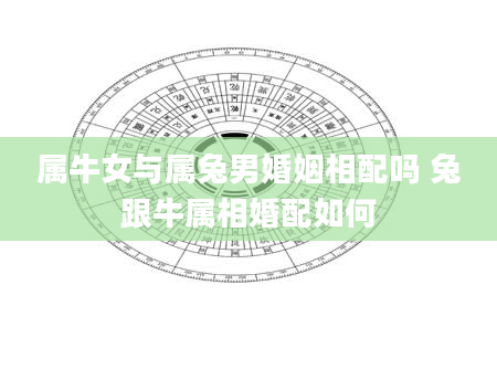 属牛女与属兔男婚姻相配吗 兔跟牛属相婚配如何