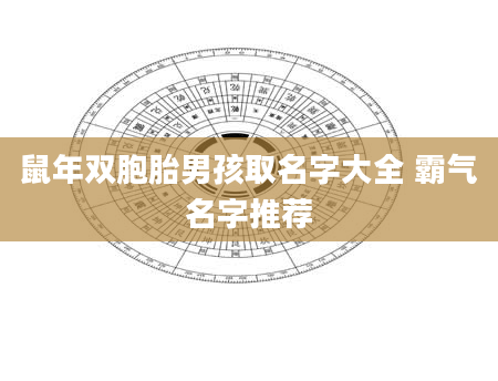 鼠年双胞胎男孩取名字大全 霸气名字推荐