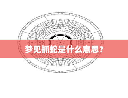 梦见抓蛇是什么意思?