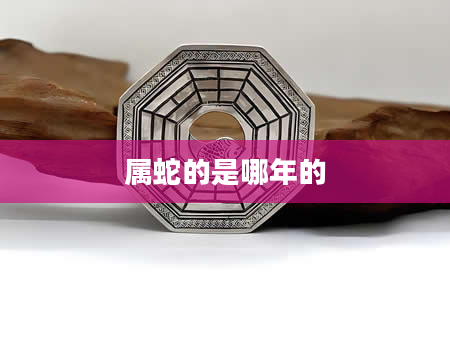 属蛇的是哪年的