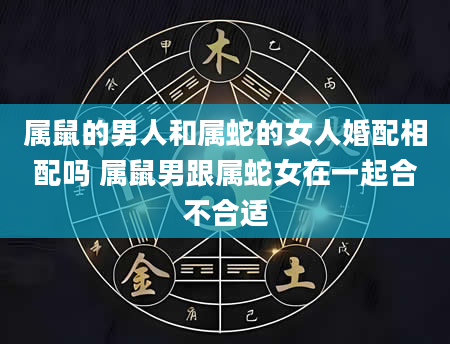 属鼠的男人和属蛇的女人婚配相配吗 属鼠男跟属蛇女在一起合不合适